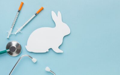 Kurze Oster-Auszeit – mit Zeit für das Wesentliche